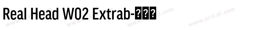 Real Head W02 Extrab字体转换